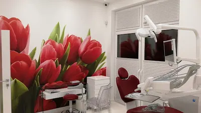 OrtoDentica - Centrum Stomatologii Warszawa